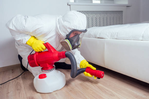 Best Pest Exclusion Services  in West Leechburg, PA